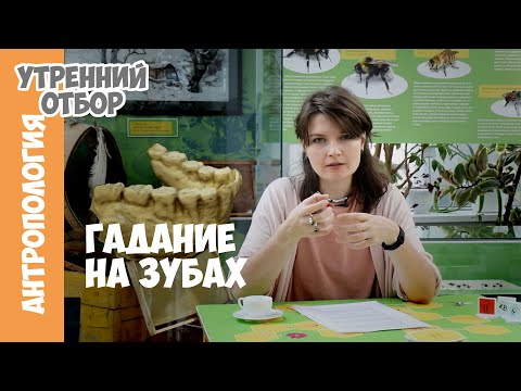 Что ели австралопитеки? Гадание на зубах. Елена Сударикова