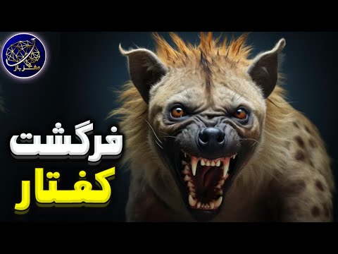 فرگشت کفتار و نگاهی به گذشته این گربه سان بی رحم