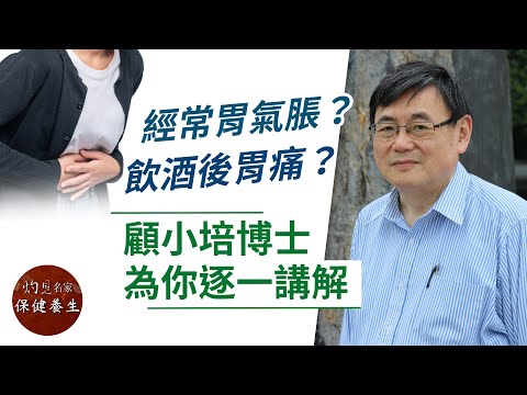 顧小培博士：經常胃氣脹？飲酒後胃痛？顧小培為你逐一講解《小培解百病》（2020-09-24）