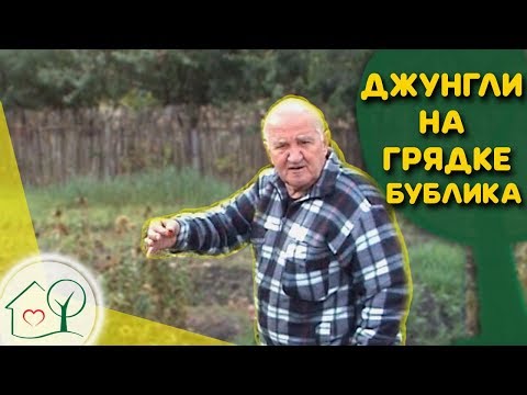 Бублик Б.А. Джунгли на грядке / Что сеет 🌱и садит  🍅 Борис Андреевич/ Огород без хлопот