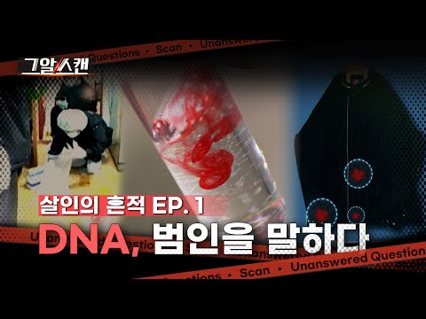 DNA, 범인을 말하다 |  스캔