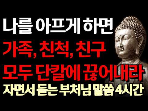 나를 아프게 하는 인연 과감히 정리하고 남은 인생 새롭게 시작하라 I 노후에 혼자가 행복한 이유 I 고독하라 I 자면서 듣는 부처님 말씀 4시간 l 지혜 I 오디오북 I 철학