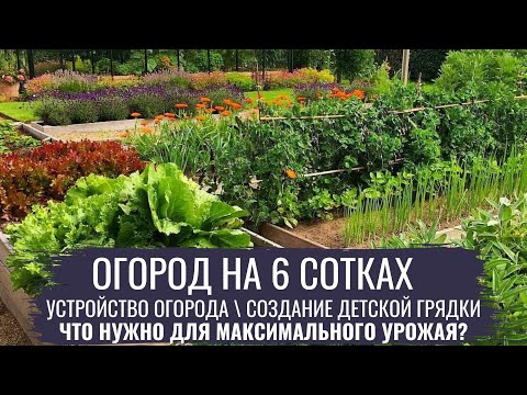 Огород на 6 сотках \ Современный огород
