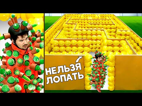 ЛАБИРИНТ ИЗ ШАРИКОВ VS ЧЕЛОВЕК  В КАКТУСАХ