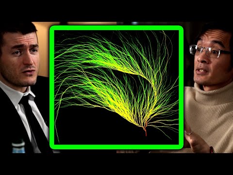 The surprisingly hard math problem - Collatz conjecture explained | Terence Tao and Lex Fridman