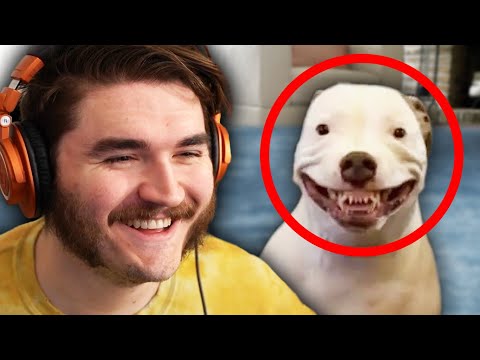 Ranking Your INSANE Tiktoks