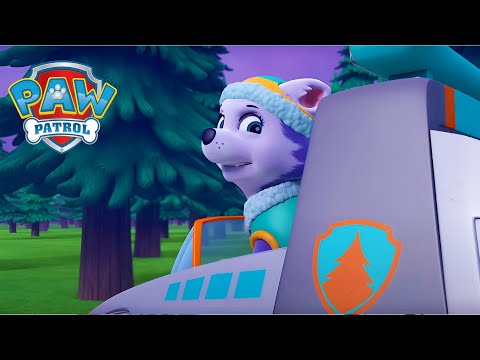 艾贝瑞斯特勇闯风暴！🌩️ - PAW Patrol 汪汪隊立大功 - 兒童卡通