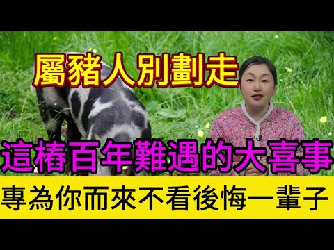 風水輪流轉，好運到你家，屬豬人別划走！這樁百年難遇的大喜事，專爲你而來，不看虧大了！#運勢 #生肖 #財富 #喜事 #正能量