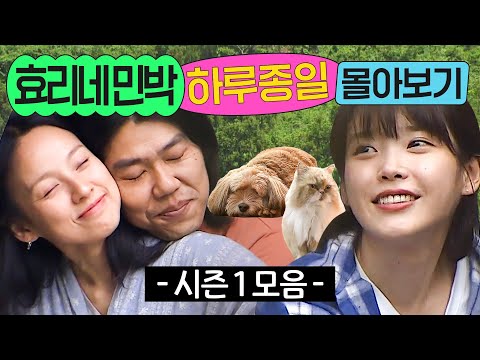 ⭐8시간⭐ ≪효리네 민박 시즌 1≫ 1화부터 마지막 화까지 몰아보기💨｜효리네 민박｜JTBC 170924 방송 외