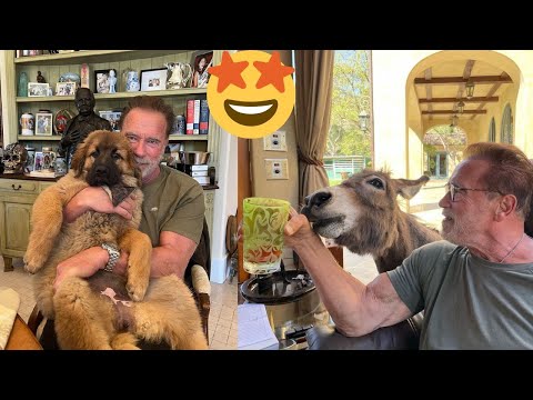 Funny Celebrity Pets 🐶 Part 7: Arnold Schwarzenegger's favorite pets