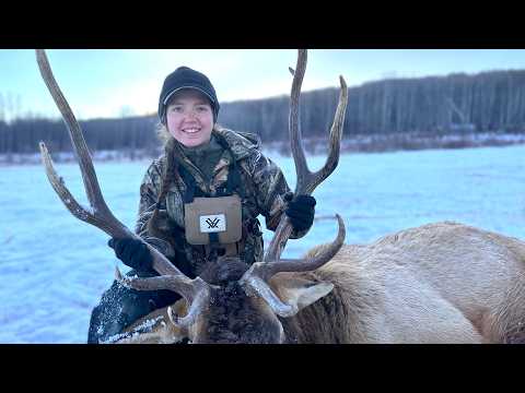 Screaming Bull Elk Gets Lucky... But We Just Hunt Harder!