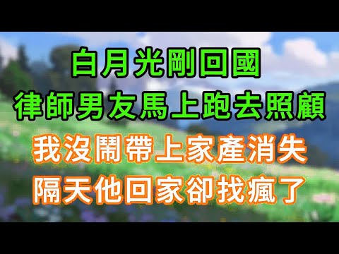 白月光剛回國，律師男友馬上跑去照顧，我沒鬧帶上家產消失，隔天他回家卻找瘋了！#情感故事 #為人處世 #生活经验