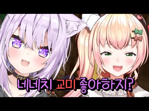 오카네네의 유튜브 터트리기 대작전 [홀로라이브 - 네코마타 오카유, 모모스즈 네네]