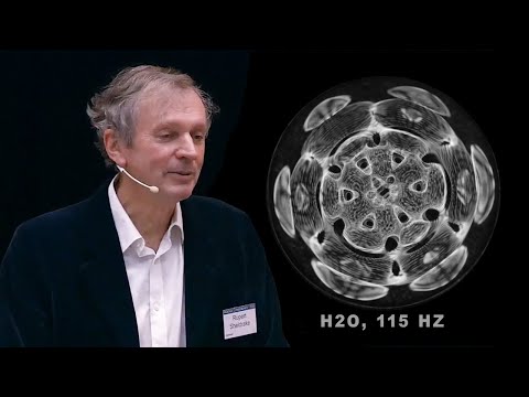 Dynamic Patterns in Water as Analogue Models