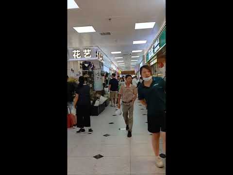 LUOHU SHENZHEN CHINA#shopping#belanja#china#shorts#shortsvideo#jalanjalan#wisata#fyp#ok#indonesia