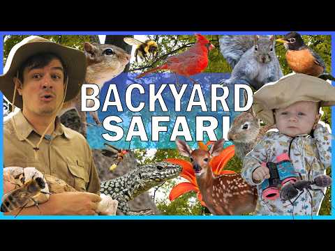 Backyard Safari: Animals & A Hidden Backyard of Wonder