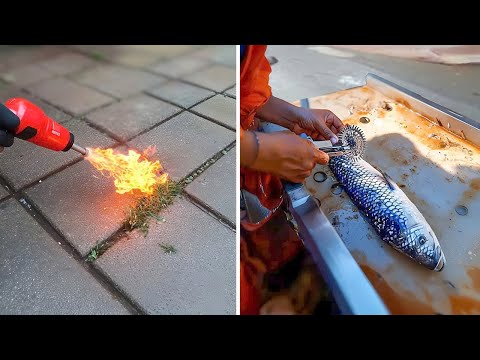 LIFE HACKS Expert Shares Top Secrets for a Better Life