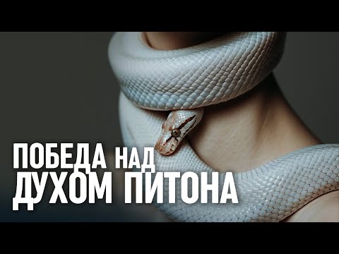 7 признаков того, что вас атакует ДУХ ПИТОНА