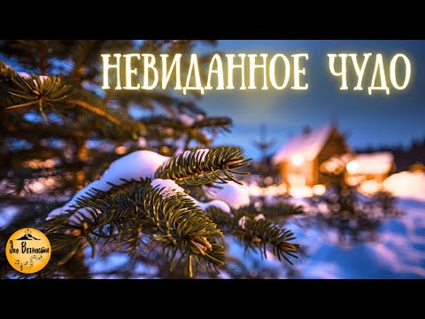 Невиданное Чудо | Христианская песня