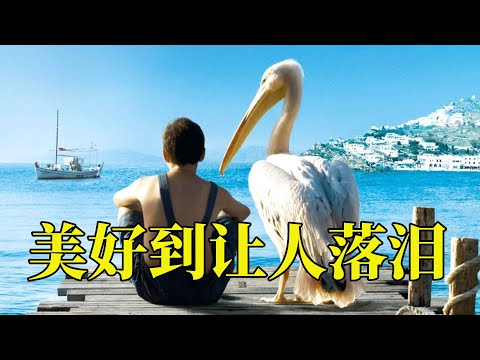 母亲遗物换一只丑鸟，不等价交换却带来快乐和陪伴，但意外也接踵而至，18分钟看完2011年真实事件改编电影《男孩与鹈鹕》