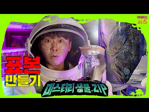 300년 뒤 미래에서 온 꾹, 할아버지의 흔적을 찾을 수 있을까?ㅣ표본 만들기ㅣ미스터리생물집ㅣ꾹tvㅣKBS 230330 방송