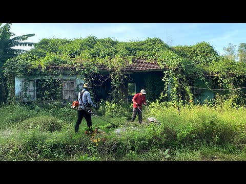 Abandoned Property OVERHAUL! We Cleaned and Mowed a Yard Left Untouched for Years!