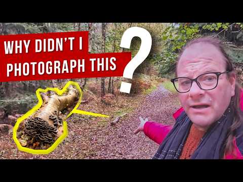 Photo Foregrounds - What I've learned