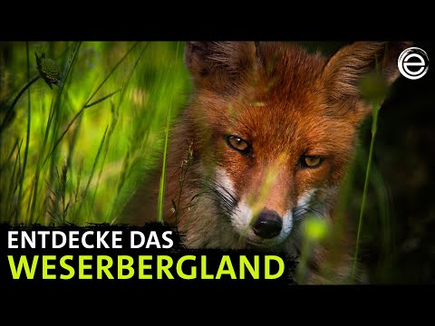 The Weserbergland ‒ Legendary Lower Saxony | Experience Earth