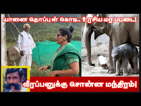 வீரப்பனுக்கு நான் சொல்லிக் கொடுத்த மந்திரம்! அதுதான் என்னை சிக்க வைத்தது! வீரப்பன் வைத்தியர் FINAL