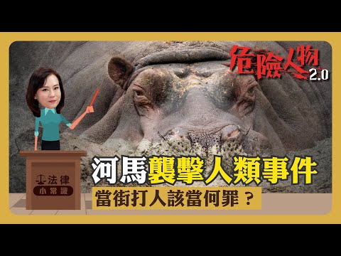 ⚖️法律小常識｜河馬襲擊人類事件｜當街打人該當何罪？｜危險人物2.0