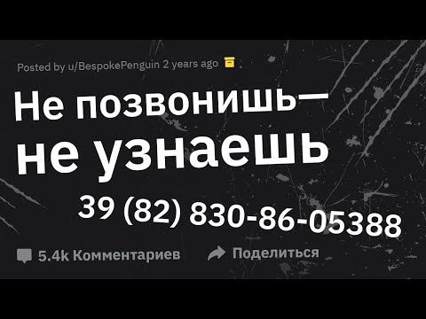 Люди Звонят По Номерам, Написанным в ТУАЛЕТЕ