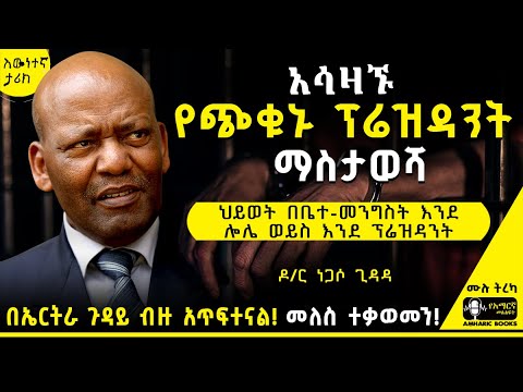 ትረካ - በኤርትራ ጉዳይ ብዙ አጥፍተናል! መለስ ተቃወመን! | የነጋሶ መንገድ  | ዳንኤል ተፈራ  #ትረካ #tireka  #tereka #amharicbooks
