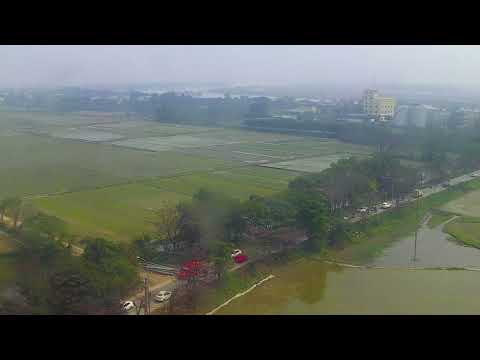 The winding village roads shaded by green bamboo trees, where the countryside breeze cools childhood