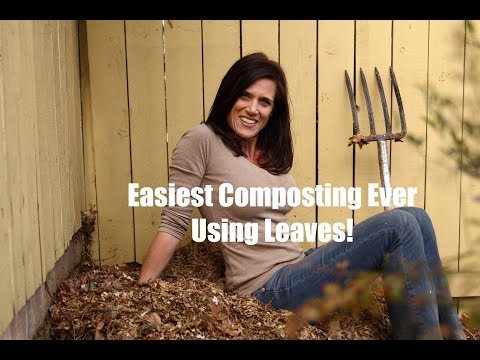 The Easiest Composting Ever - Using Leaves!