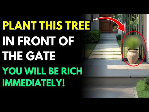 Plant This Tree at Your Gate, and Money Will Flow into Your Home