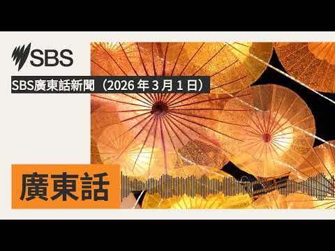 SBS廣東話新聞(2026 年 3 月 1 日) | SBS Cantonese - SBS廣東話節目