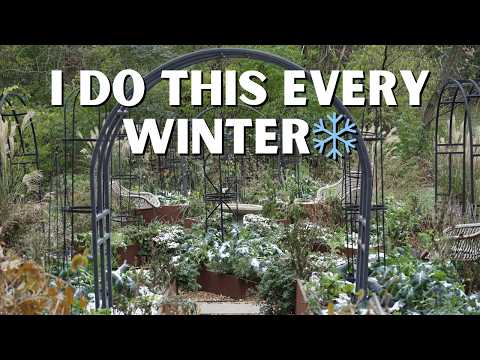 3 Things to Do Now to Get Your Raised Bed Garden Ready for Spring