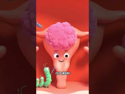 Eating Sushi While Pregnant? | The Organ Story #theorganstory #health #pregnant #sushi #listeria