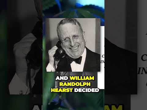 Joe Rogan on Why Weed is Taboo