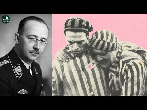 Marked, Arrested, Destroyed: The Ruthless Persecution of Gay Men in Nazi After 1933