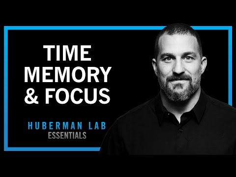 Time Perception, Memory & Focus | Huberman Lab Essentials