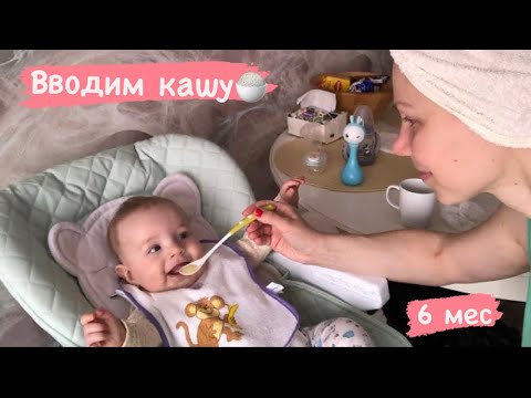 Ввод прикорма в 6 месяцев/ каши