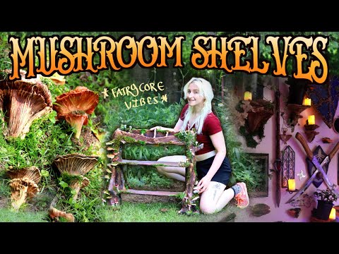 Normal shelves are boring, so I made ✨whimsical ✨shelving