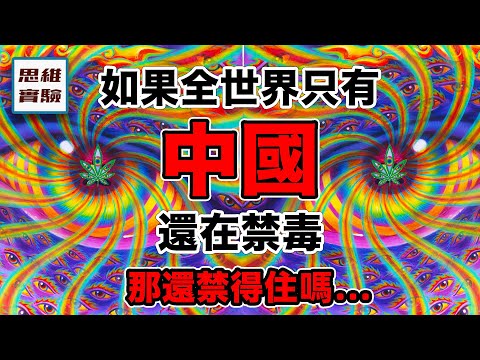 中西官方對於毒品的態度：為何差距這麼大？越來越難的禁毒大戰！｜思維實驗室