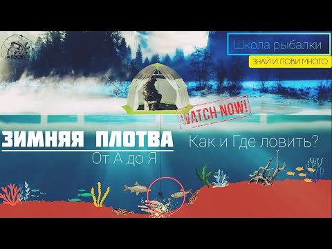 ПЛОТВА ЗИМОЙ. ГДЕ И КАК ЛОВИТЬ? ЗНАЙ И ЛОВИ МНОГО! #рыбалка #плотва #зимняярыбалка