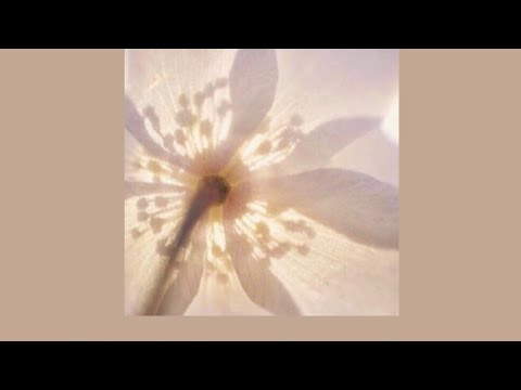 》☆《A Soft Playlist 》☆《