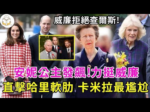 王室關係徹底破裂！威廉拒絶查爾斯，安妮公主髮飆，力挺威廉直擊哈裡軟肋，梅根事業停滯，卡米拉遭當頭棒喝#卡米拉#英國王室#查爾斯#威廉王子#哈裡王子#安妮公主#談笑娛生#凱特王妃