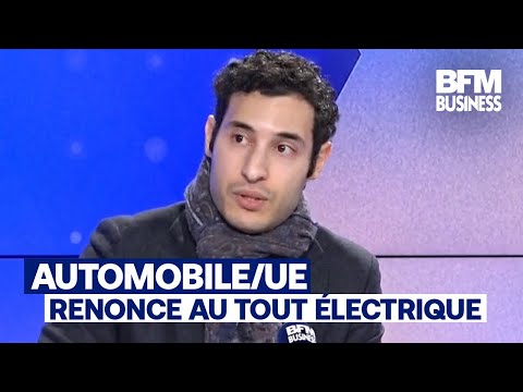 Automobile : "L’annonce de l’UE est une mauvaise nouvelle pour l’industrie et l’écologie" (R.Nezzar)
