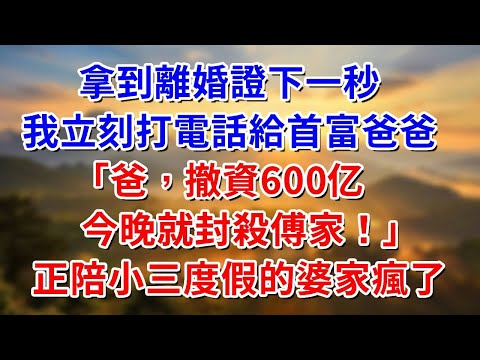 拿到離婚證下一秒，我立刻打電話給首富爸爸「爸，撤資封殺傅家！」正陪小三度假的婆家瘋了！ #阿木講故事#為人處世#生活經驗#情感故事#養老#睡前故事
