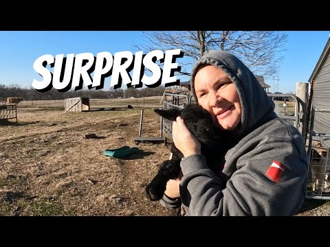 EARLY ARRIVAL First Spring Baby